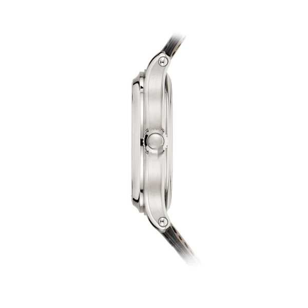Patek Philippe 6301P Grand Complications - Image 3