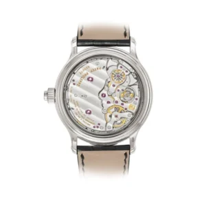 Patek Philippe 6301P Grand Complications